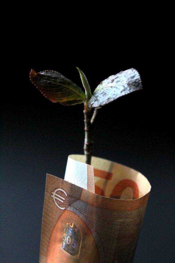 how to grow business